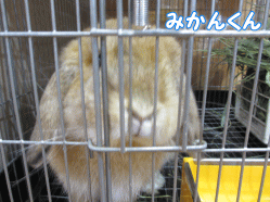 140829o.gif