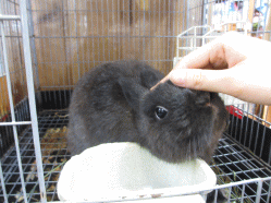 140830f2.gif