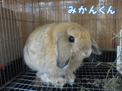 140830g1.gif