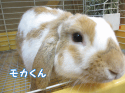 140830h1.gif