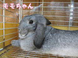 140830i1.gif