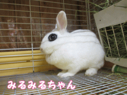 140830j1.gif