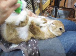 140831c2.gif