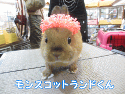 140831i1.gif