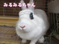 140831j1.gif