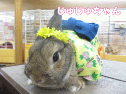 140831h1.gif