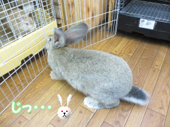 140901c.gif