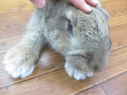140901e.gif