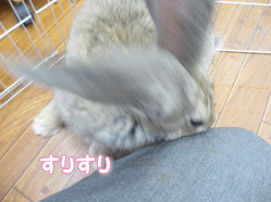 140901i.gif