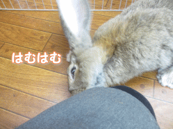 140901j.gif
