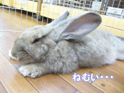 140901k.gif