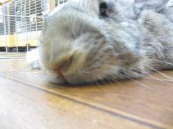140901l.gif