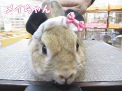 140904a1.gif