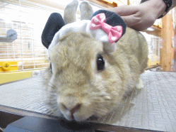 140904a2.gif