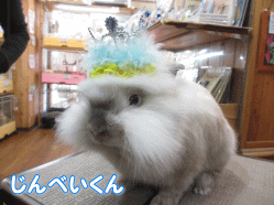 140905a.gif