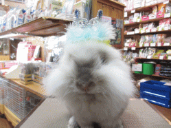 140905b.gif
