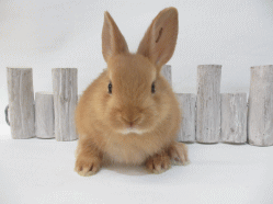 140905e.gif