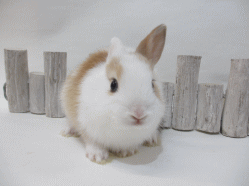 140905i.gif