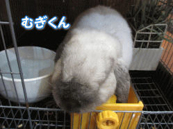 140906.gif