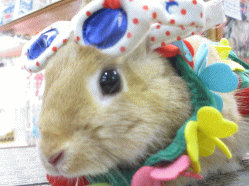 140906b.gif