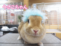 140906e.gif