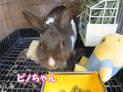 140906p.gif