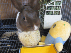 140906q.gif