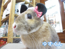 140907e1.gif