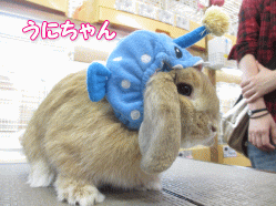 140908a.gif