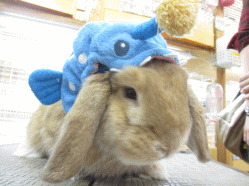 140908b.gif