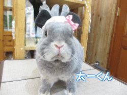 140908c.gif