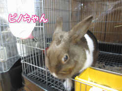 140908i.gif