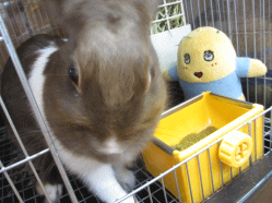 140908j.gif