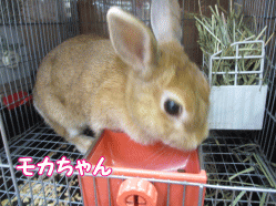 140908k.gif