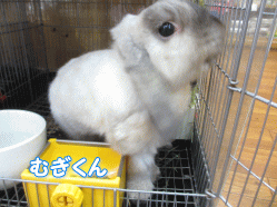 140908m.gif