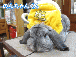 140909e.gif