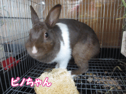 140909k.gif