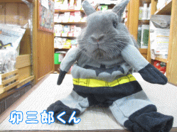 140912a1.gif