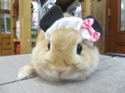 140912b2.gif