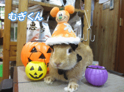 140913a1.gif