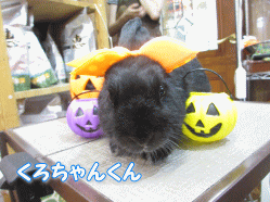140913c.gif