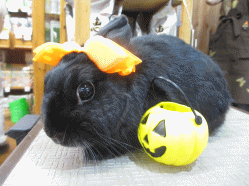 140913d.gif