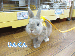 140913e.gif