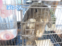 140913g.gif