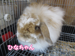 140913i.gif