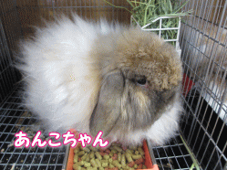 140913k.gif