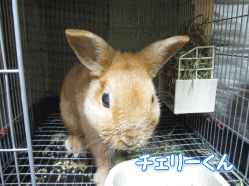 140913q.gif