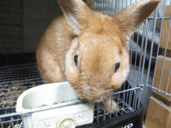 140913r.gif