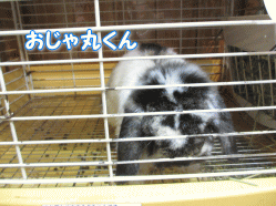 140913s.gif