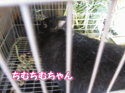 140913u.gif